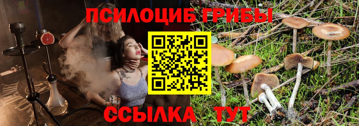 Саров  Галлюциногенные грибы мухоморы  Вход с VPN  Галлюциногенные грибы мицелий 